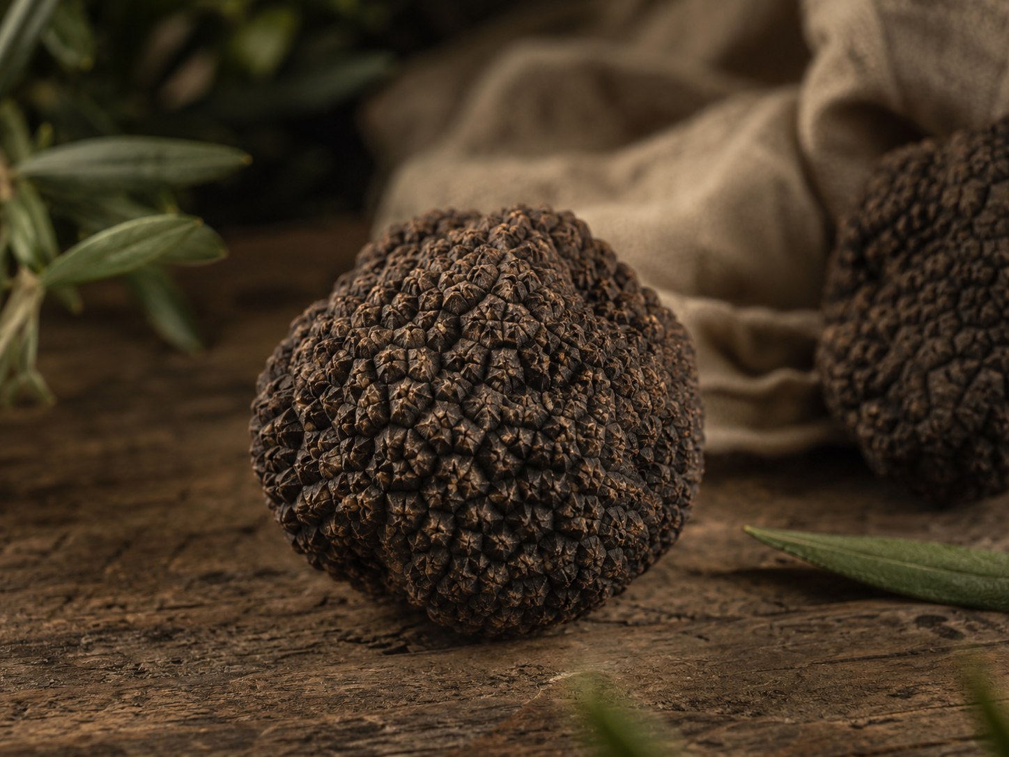 Summer Truffle — Scorzone